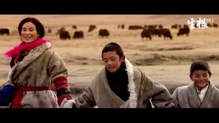 民族电影《生根》片段，尽显甘南草原迷人风光