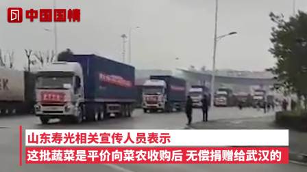 寿光捐献350吨蔬菜被售卖？武汉商务局承认低价销售：实事求是