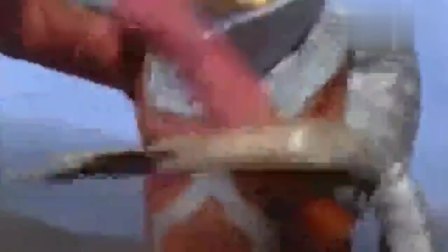 赛文奥特曼和一条大黄鳝打了半天 最后被震断几节！