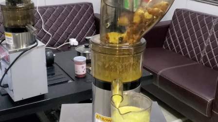 生姜大型榨汁机,麦可酷工厂直销
