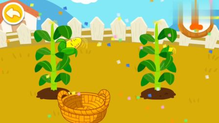 宝宝巴士亲子游戏：宝宝学数学 菜地里种出了两棵玉米！