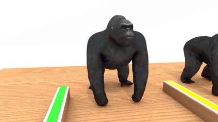 大猩猩吃水果变色，宝贝益智动画早教