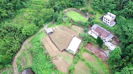南丹县有个村子，空空荡荡无人影子，门前青苔屋顶长草，为什么？