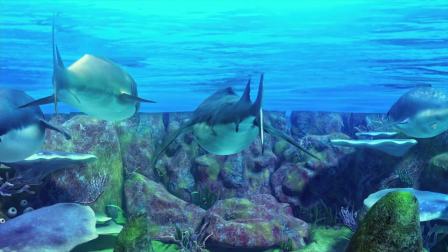 海底大冒险：鲨鱼气势汹汹回到珊瑚礁，只想