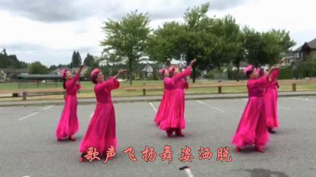 781：广场舞《 踏歌起舞的中国》表演：黄金华 等