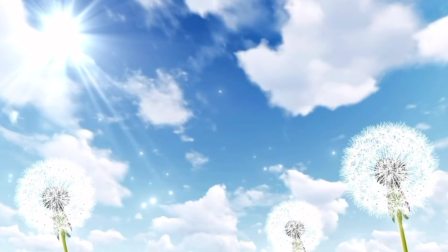 融创无界，&ldquo;桥&rdquo;见匠心&mdash;家乡桥梁我介绍杭州湾跨海大桥