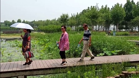郑东新区龙湖湿地