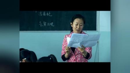 人教版语文八年级下册《云南的歌会》（2017年初中语文获奖课例教学实录视频）