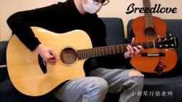【昆明小新琴行】美国贝朗Breedlove电箱吉他！