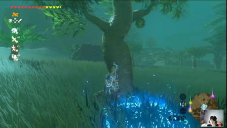 【转载HarryTaiS】《塞尔达传说荒野之息》 所有武器全武器获得攻略方法 32.王族双手剑