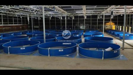 永州工厂化循环水养殖系统工厂化养鱼项目选环控农业