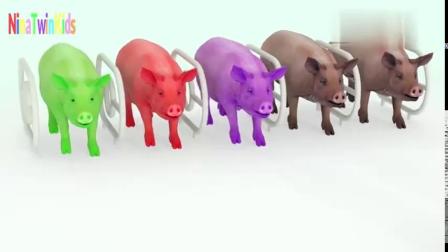 幼儿色彩启蒙：3D大肥猪吃彩色淇淋变颜色，学习英语！