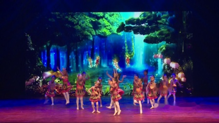 国风舞蹈培训机构2018少儿比赛 36《苗家姑娘》
