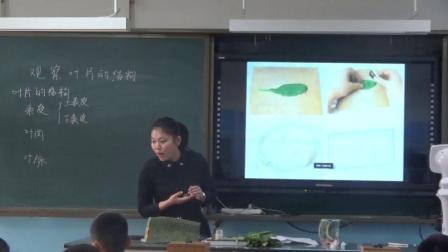 北京版初中生物七年级上册第2节《绿色植物的光合作用》（初中生物青年教师参赛获奖课例教学实录展示）