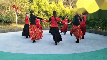 音乐瑞莲广场舞《藏族圈圈舞》