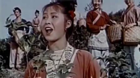 电影刘三姐经典片段采茶姐妹上茶山采茶，茶姑娘唱歌就是好听