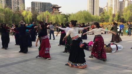 西安大唐藏族歌舞团 -藏族弦子
