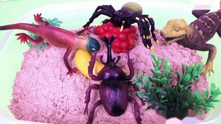 儿童昆虫玩具昆虫名称教育视频学习昆虫学步