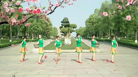 重庆忧柔广场舞公园队 站着等你三千年 编舞 花与影