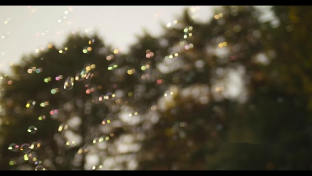 s587 2K画质超唯美小清新浪漫彩色小气泡飘动爱情婚礼视频素材