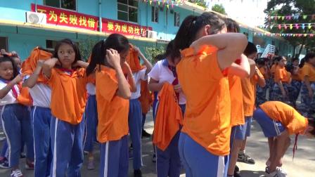 凤光小学4 6年级阳光少年综合社会实践活动