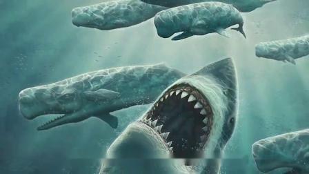 巨齿鲨：地球上生存过的最强，巨齿鲨VS虎鲸谁是咬合力之王