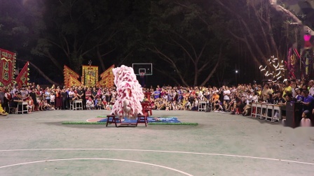 第三届广州市青少年醒狮表演赛白云区选拔赛–广州市协艺龙狮团