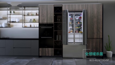 海信冰箱食神系列中式对开门602冰箱