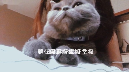 #想做你的猫# 脸红和宰宰的日常