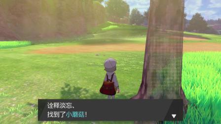 【诠释解说】NS《精灵宝可梦剑/盾》第三期  道馆挑战赛开幕式