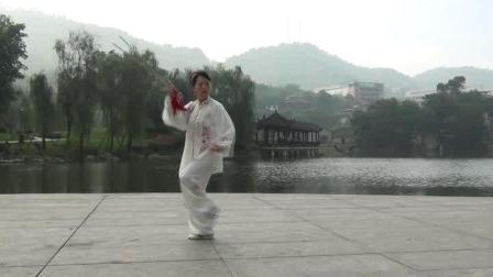 2009年香港赛前练习黄林美演练武当太极剑