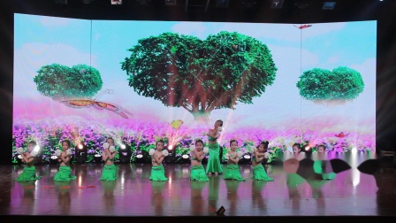 天津市小孔雀艺术培训学校第五届舞蹈专场《缅桂花开朵朵香》
