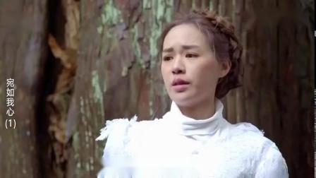 宛如我心：王子意外抓到了逃婚的敌国公主，却不知妹妹误会他抢婚.mp4