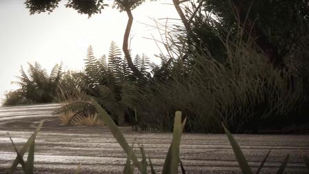 世界汽车拉力锦标赛WRC 9-新西兰 PS4, PS5游戏宣传片