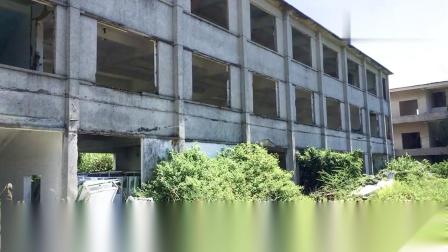 玩具来样加工行业的新兴趋势