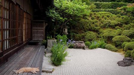 日式庭院庭院景观园林绿化设计&mdash;&mdash;金叶云园艺有限公司