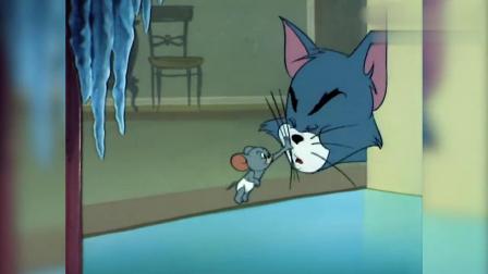 猫和老鼠：小老鼠比杰瑞胆大，把汤姆胡子拔了，不怕汤姆生气啊