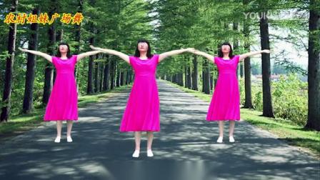 全网流行中三步广场舞《心在路上》舞步优美大方，歌曲深情感人_标清(1407838)