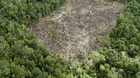 地球之肺：亚马孙热带雨林，为全世界了大量的氧气