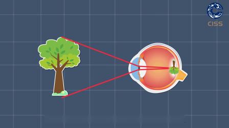 [图]青少年健身科普-近视防控|眼睛是怎么看清物体的呢？