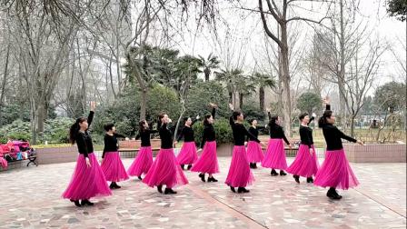 阳光美梅广场舞《卓玛》藏族舞-团队版