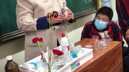 2班用玫瑰花瓣和康乃馨做酸碱指示剂
