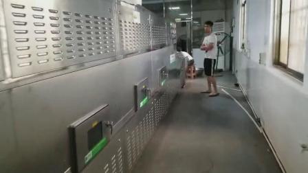 广西杂粮熟化机 微波五谷杂粮烘焙菌设备使用现场