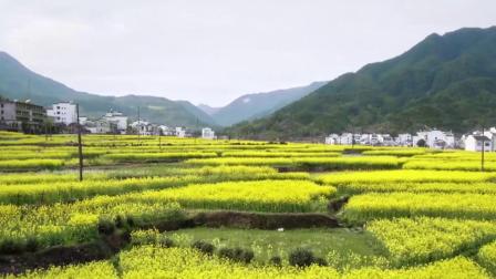 [图]赓续历史文脉 谱写当代华章