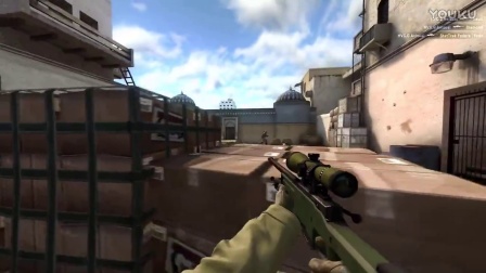 [CSGO]awp野兽们#28