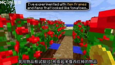 MC动画-如何做西红柿植物-Magma Musen