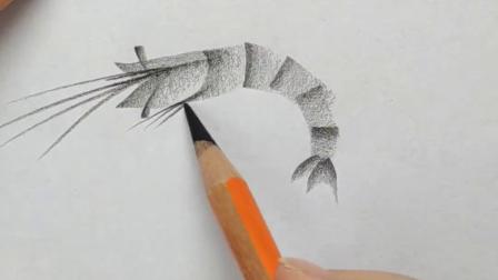 用简单快捷的方法画一只虾,你学会了吗