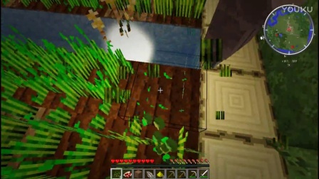 【LMT#风谜】我的世界Minecraft《斯泰克：航海梦》P5-种植红枫树