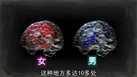 性别心理学研究:男女大脑发展差异