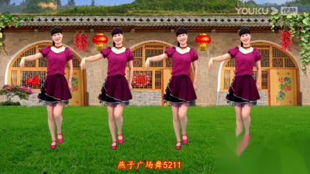 2021民歌广场舞《爱陕北》演唱：王二妮，嘹亮的歌声，太赞了~